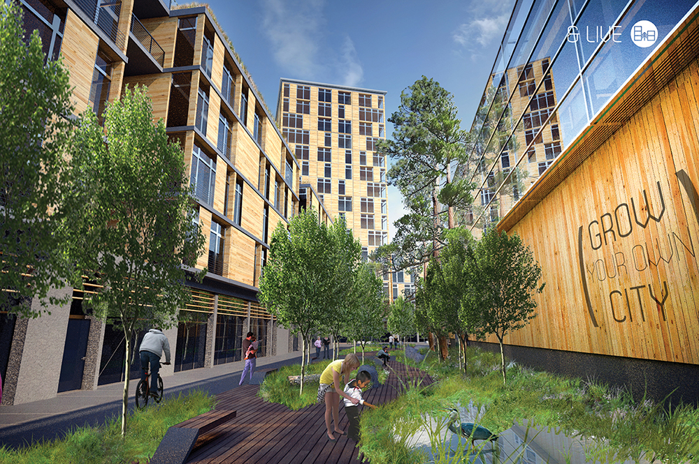 Timber in the City Competition Winners
