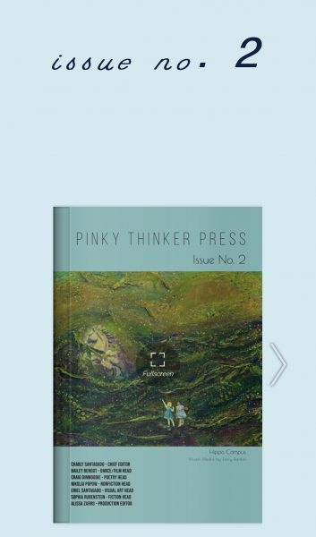 Pinky Thinker Press is looking for submission